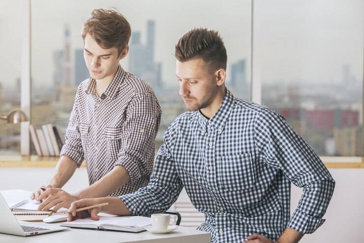 Разработчик и инженер